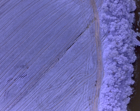photo du drone avec filtre, résolution 3 cm, caméra NIR